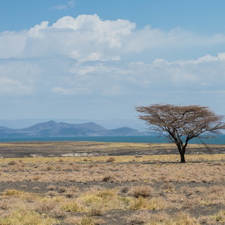 Lake Turkana